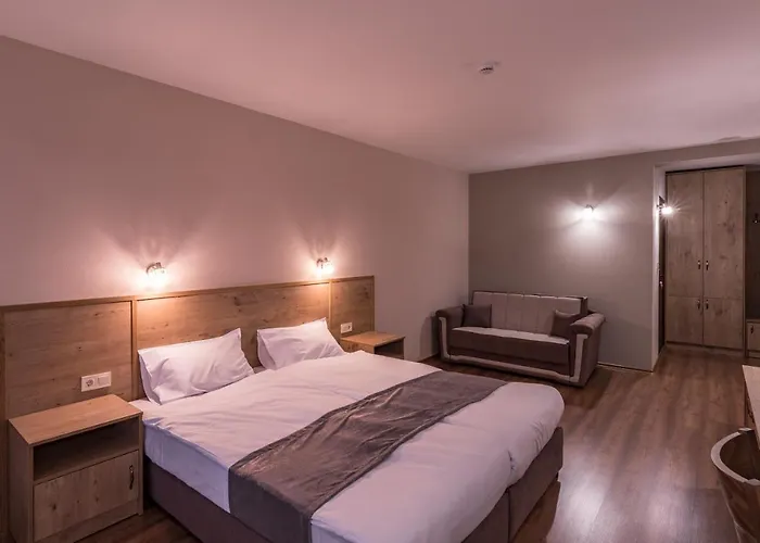 ホテル семеен магнолия カザンラク